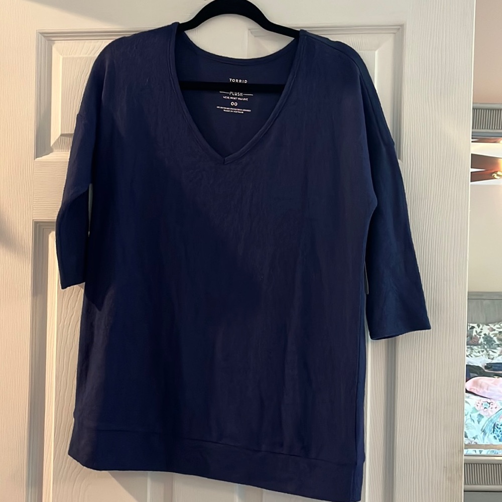 Torrid Super soft plush v-neck sweater